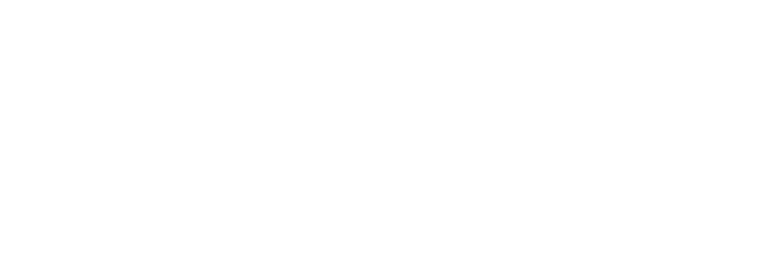 logo SERVIRES